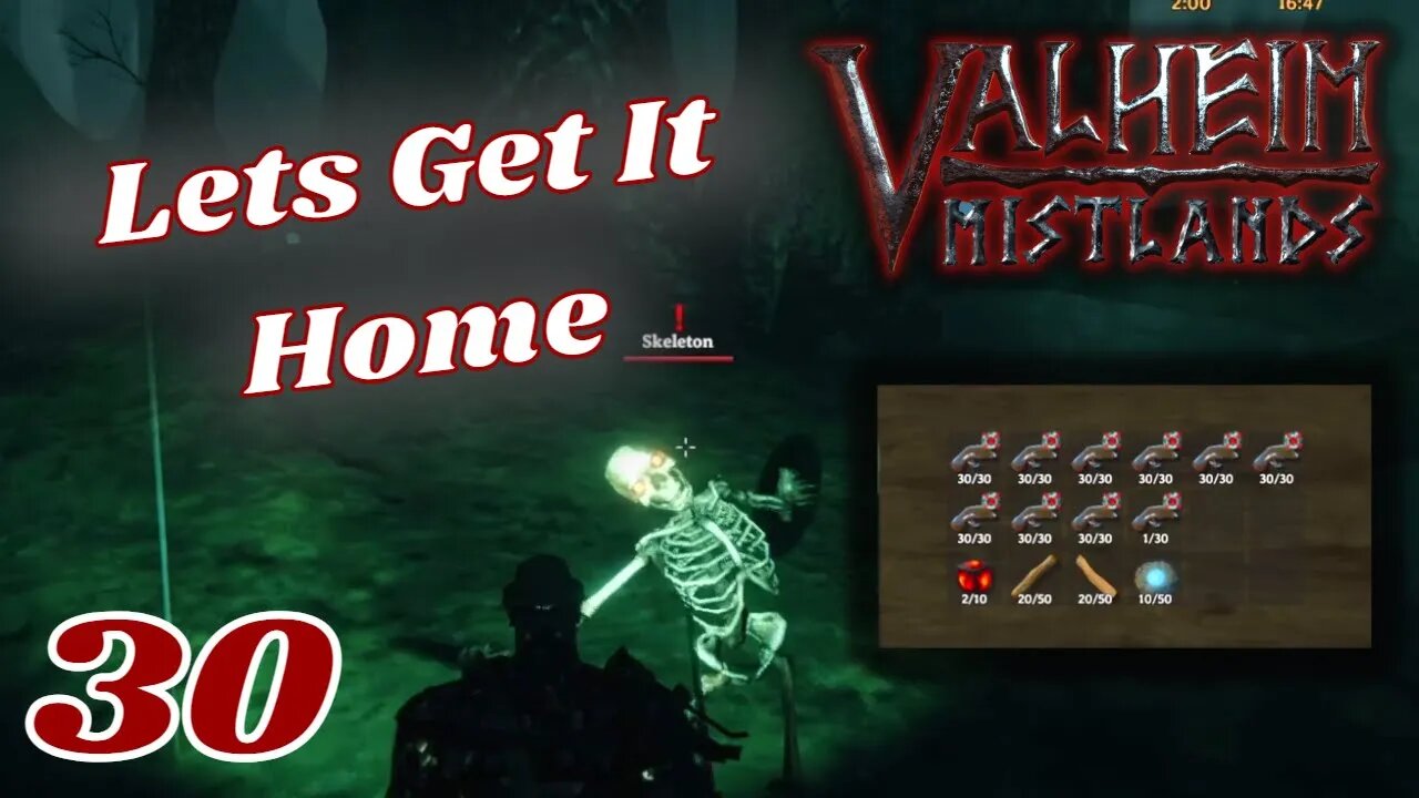 We Got The Goodies, Can We Get Them Home - Valheim Mistlands - 31