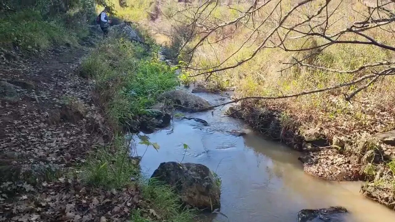 2023 June The Louis Changuion Hiking Trail Streams