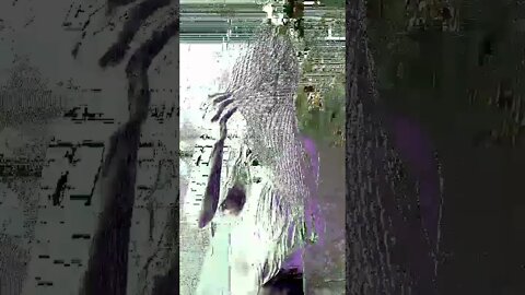 LC VIDEO ART