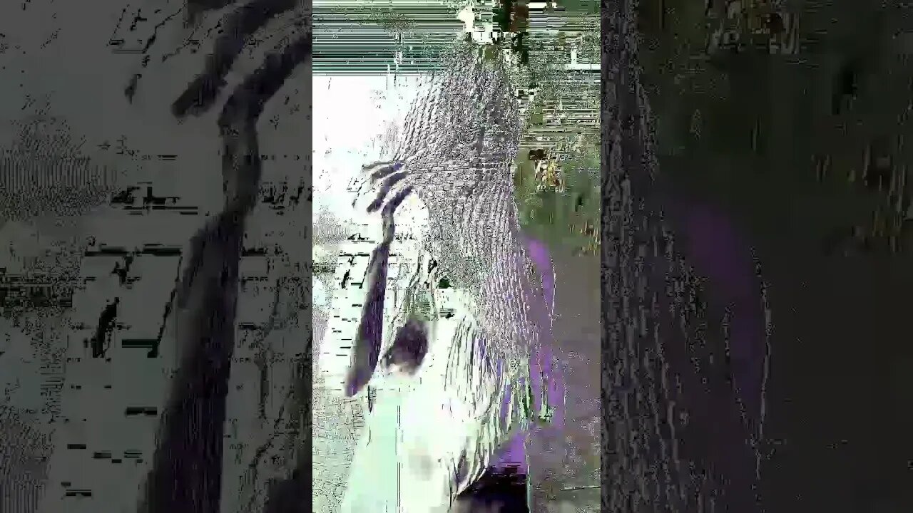 LC VIDEO ART
