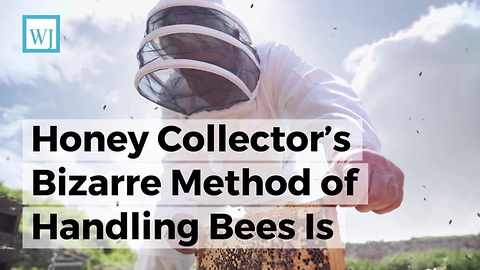 Honey Collector’s Bizarre Method of Handling Bees Is Most Unsettling Thing You’ll See in Weeks