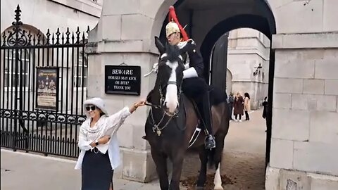 A pull on the reins gets you a shout from the guard #horseguardsparade