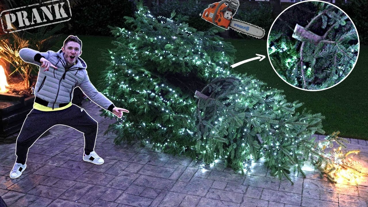 I Chopped Dads Favorite Tree Down Prank Wars And Something Gone Wrong