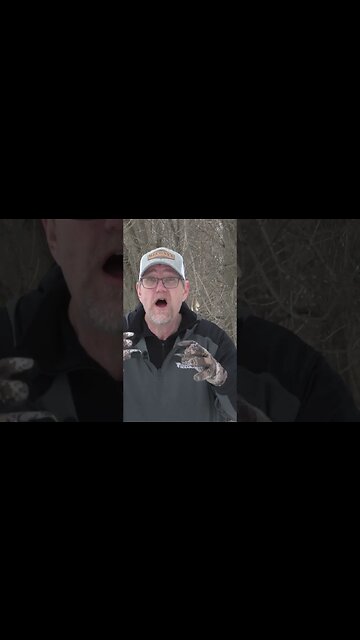 The infamous DOE FACTORY #deer #deerhunting #biology #foodplot #shorts