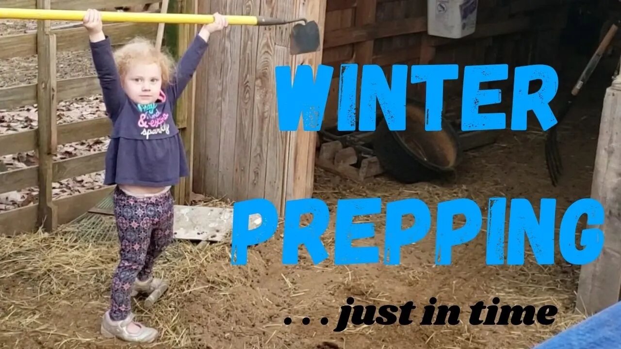 Winter Prep // Breeding Time