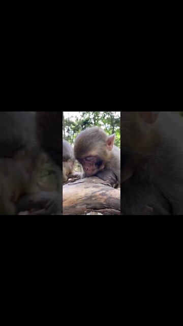 Most Amazing and trending video||relaxing your mind||trendig videos|| #shorts #trending #viral #live