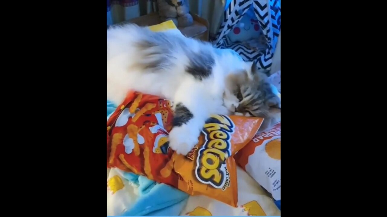 stay away from my cheetos