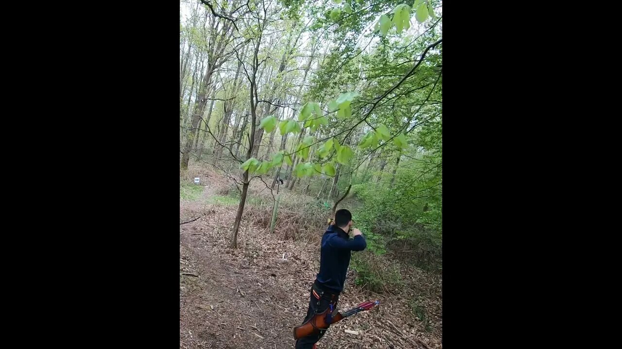 ADJUSTING AIM 3 ARROWS