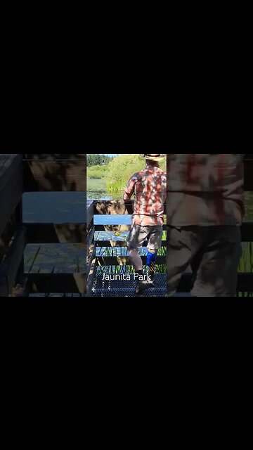 Juanita Park - Great for Wheelchairs! #pwd #hiking #motivation #pnw