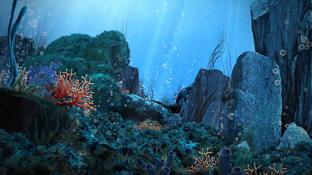 underwater world background video animation