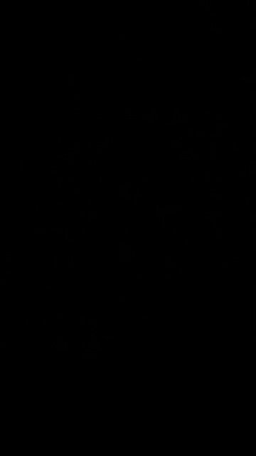 Terrorist sympathizers