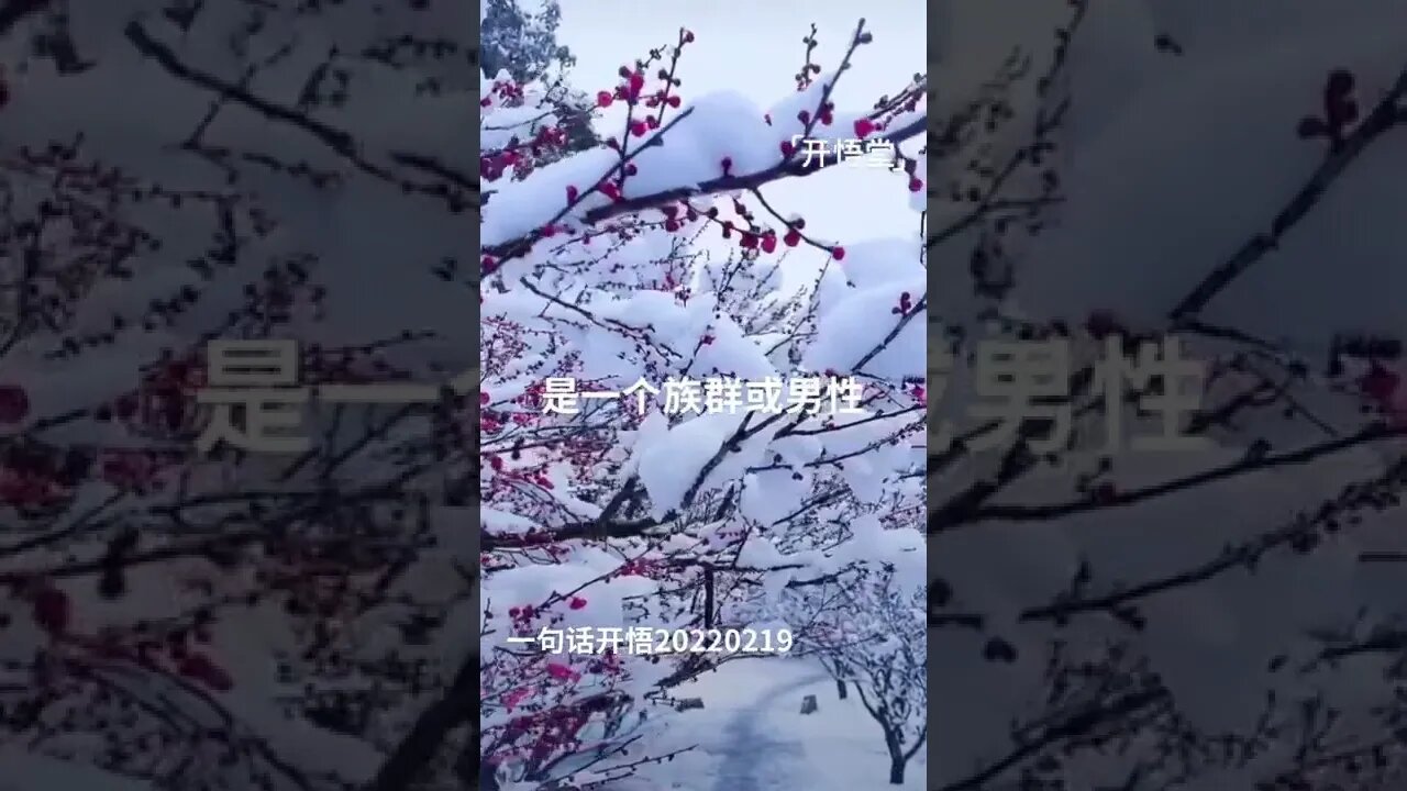 一句话开悟20220219