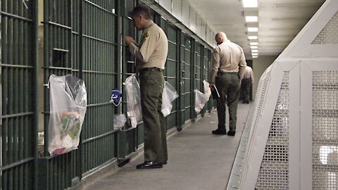 DOJ Report: Jail Population Plummeted Amid Pandemic