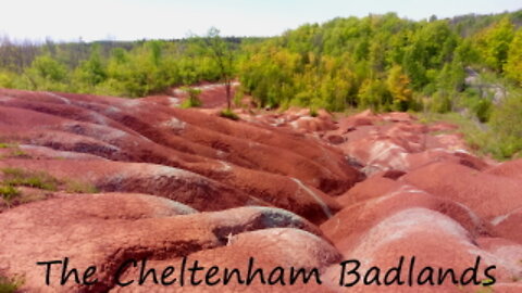 #Badlands in a greenland of the north, the Cheltenham Badlands