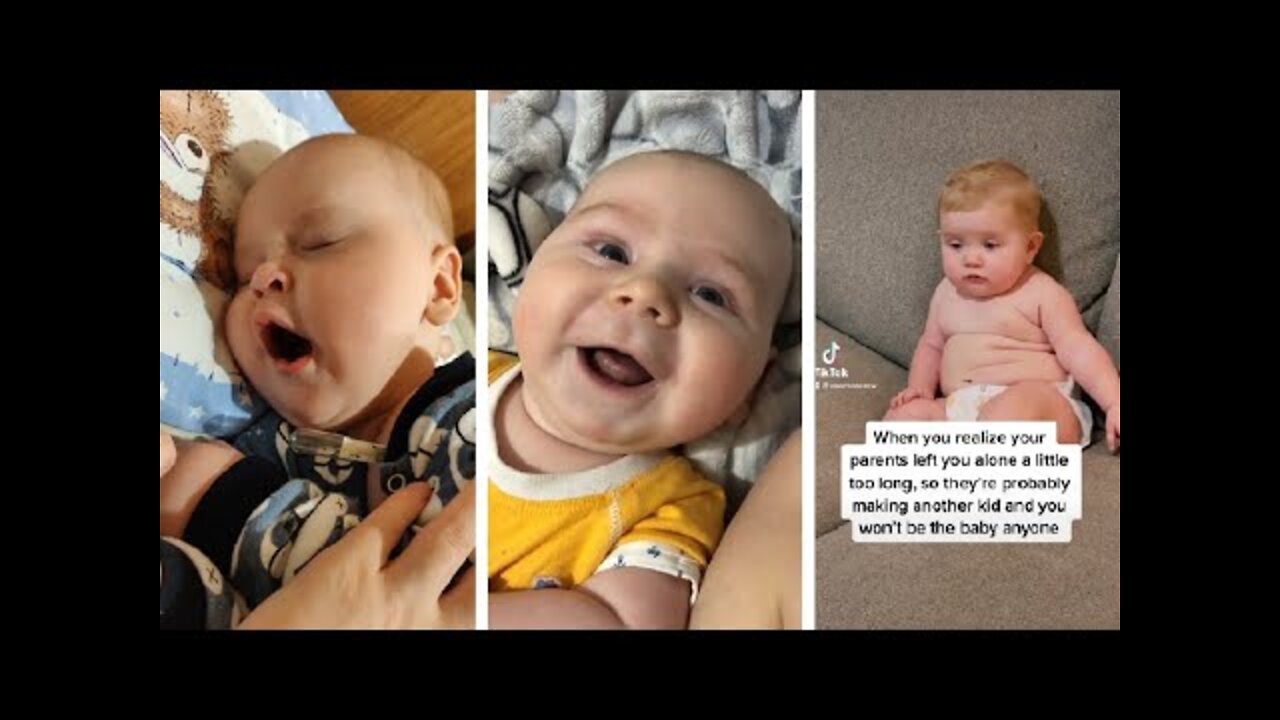 Cute chubby baby - Funny video