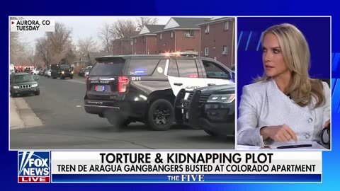 &apos;The Five&apos;: Illegal migrant gangbangers busted in kidnapping, torture plot