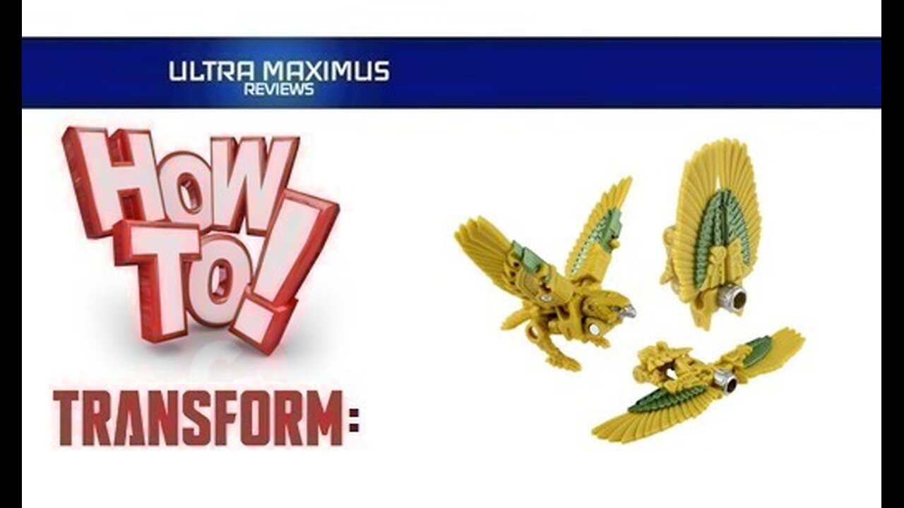💥 How to Transform Airazor Beast Alliance Transformers Rise of the Beasts