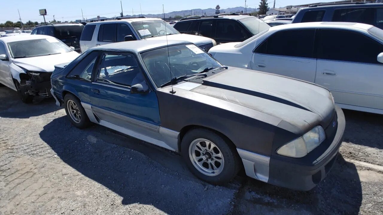 Vanilla Ice Mustang... IAA WALK AROUND