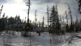 Swift Creek Trail in Whitefish, MT