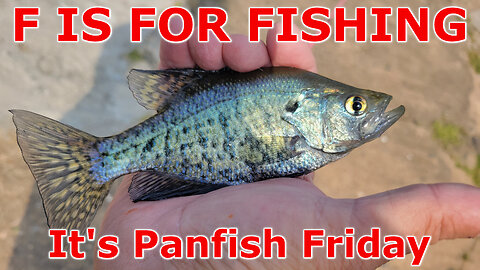 It's Panfish Friday!