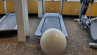 Passadeira engole bola de exercício!