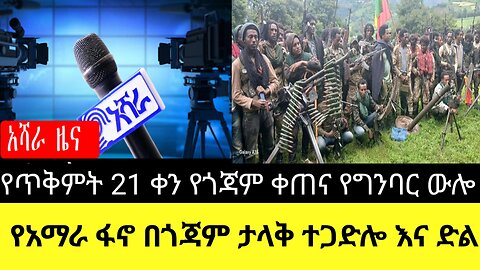 የአማራ ፋኖ በጎጃም የጥቅምት 21ቀን 2017 ዓ/ም እለታዊ የግንባር መረጃ