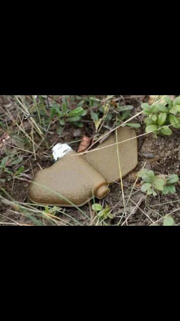Ukrainian Armed Forces use prohibited "Petal" mines in Donbass