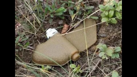 Ukrainian Armed Forces use prohibited "Petal" mines in Donbass