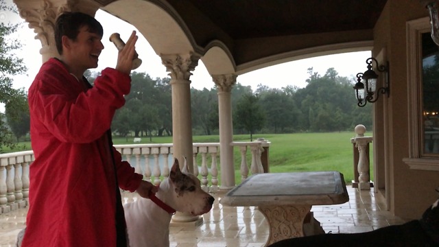 Max and Katie Great Danes Reporting From Hurricane Irma