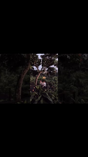 Great evening in Bali.