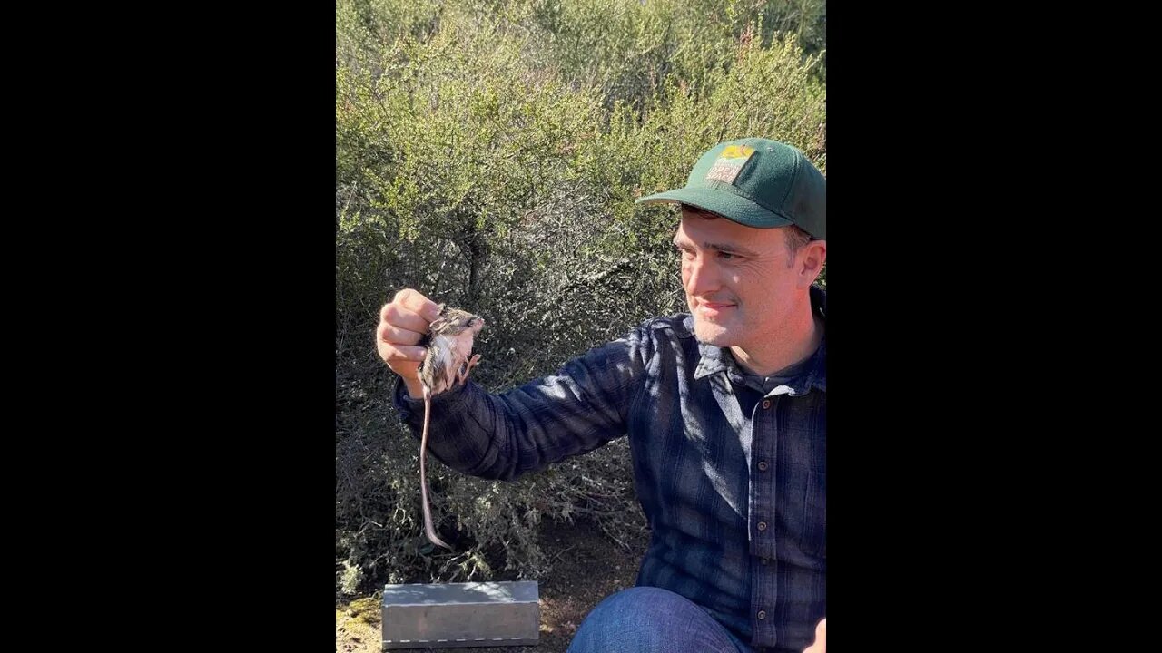 California researchers find elusive kangaroo rat not seen in years