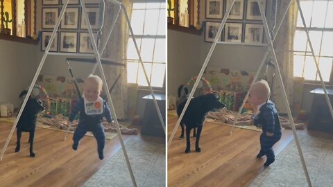 Baby hilariously saying pup jump with me