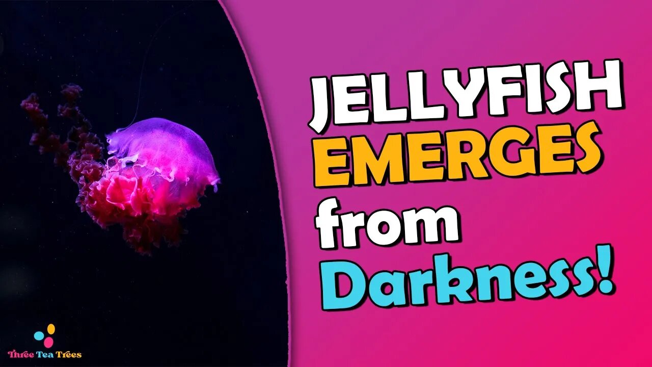 Jellyfish Emerges from Darkness A Deepsea Twilight in Real Time