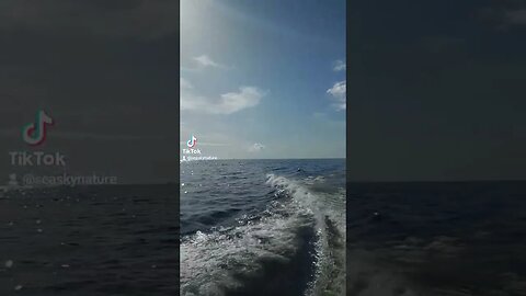 Sea Sky Nature SPEED BOAT 🚤 on TikTok