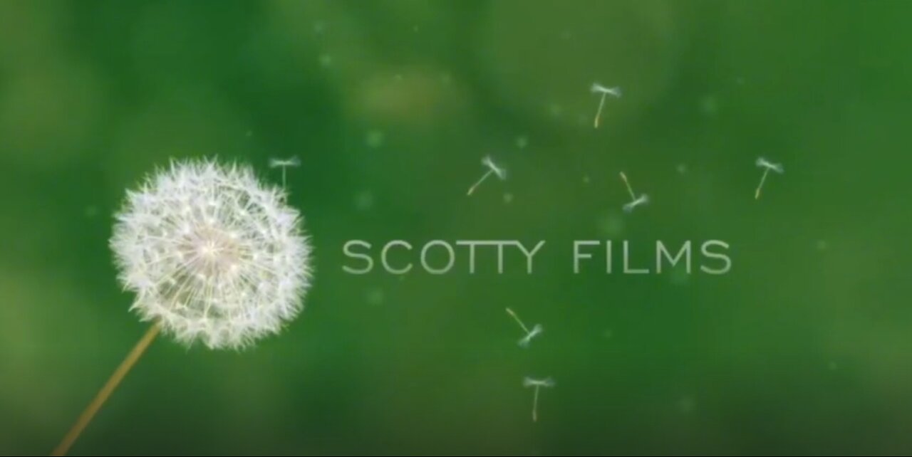 Wind Of Change - Scotty Films