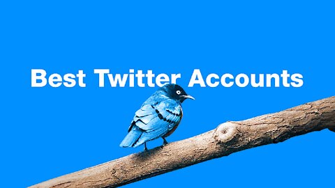 Best Twitter Accounts