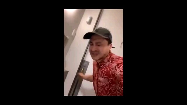 funny videos