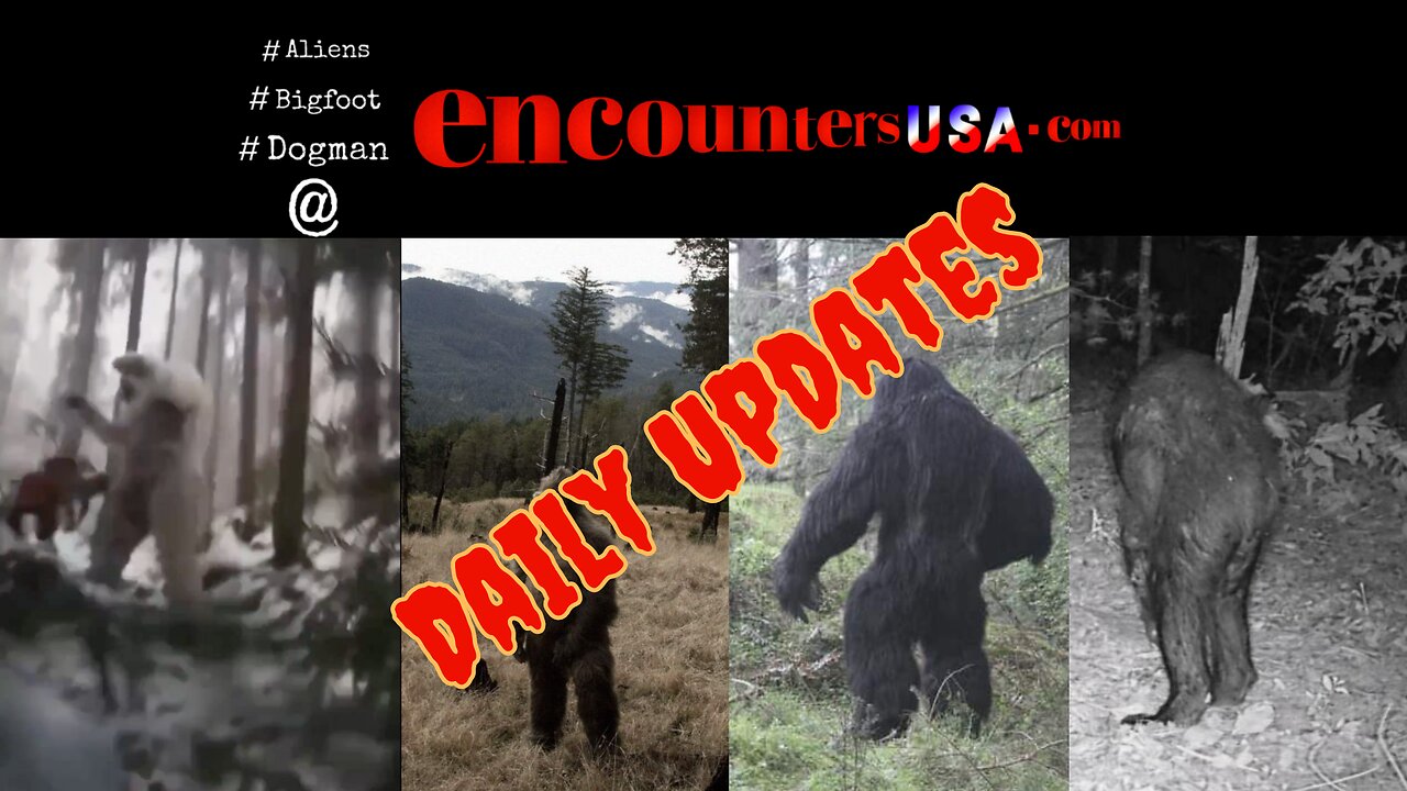 Abominable Bigfoot? Two Bigfoot Photos & One Dogman Encounters USA Daily Updates September 6 2024