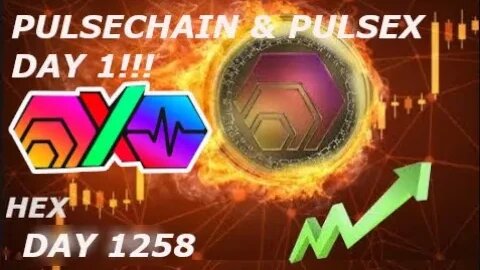 HEX day 1255 & Pulsechain & PulseX day 1 !!!!