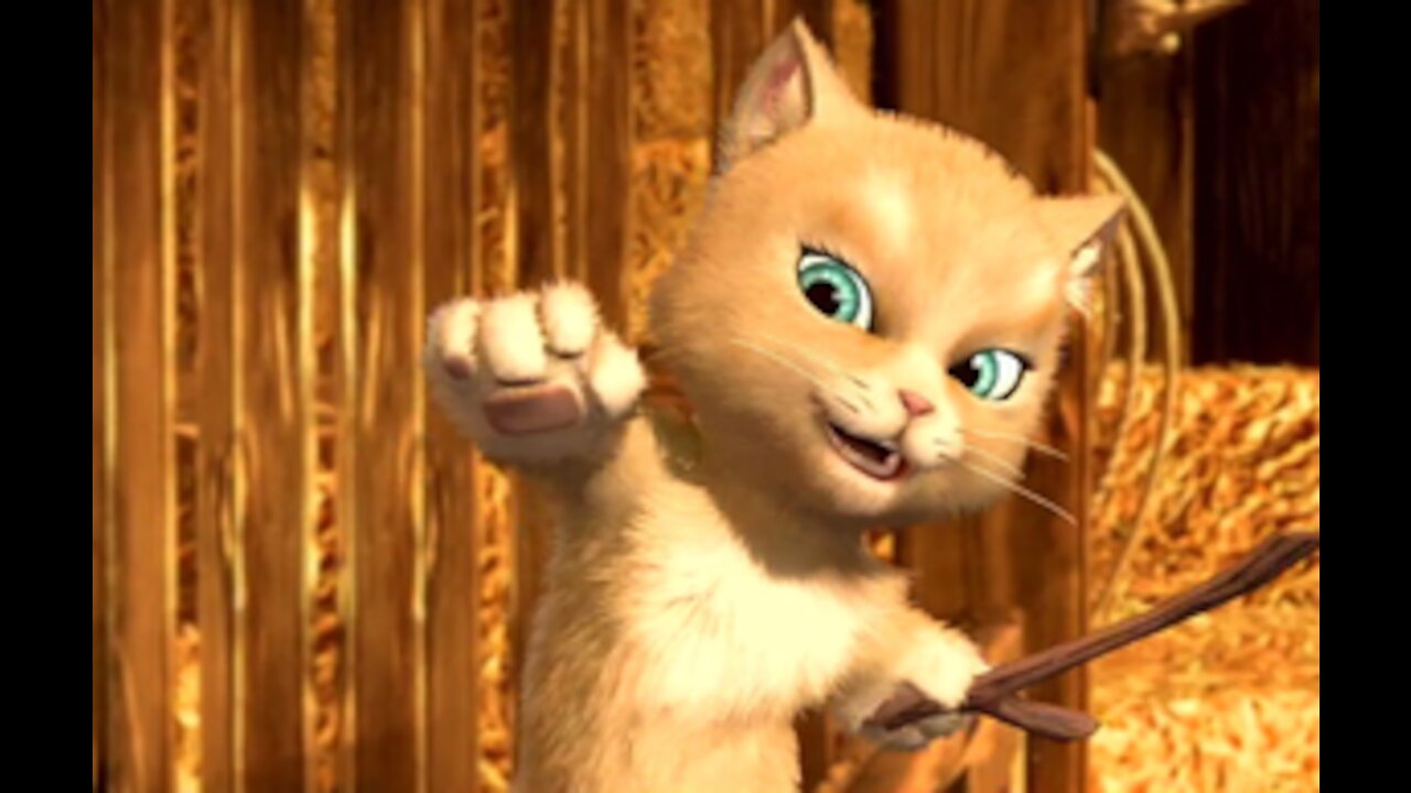 the terrorist cat