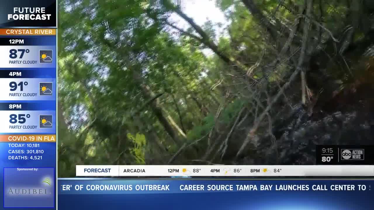 VIDEO: Alligator slams into kayak, tips man into river