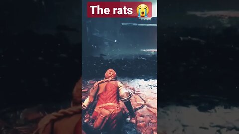 A PLAGUE TALE REQUIEM | Gameplay Playthrough | FHD 60FPS XBOX | No Commentary | SHORT 14