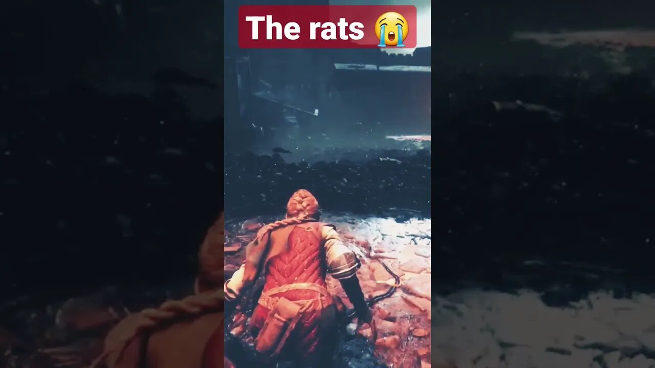 A PLAGUE TALE REQUIEM | Gameplay Playthrough | FHD 60FPS XBOX | No Commentary | SHORT 14