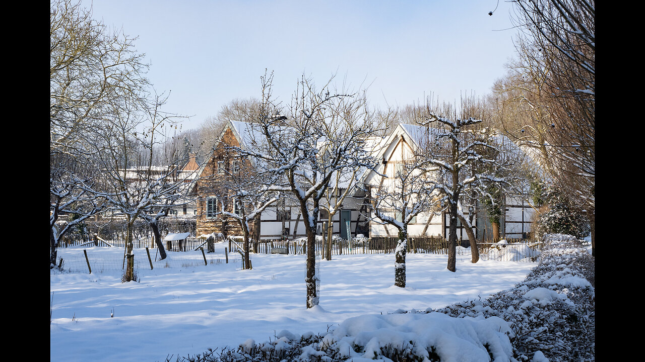 Impression of a Winter's Day in Limburg (NL), January 18 2024