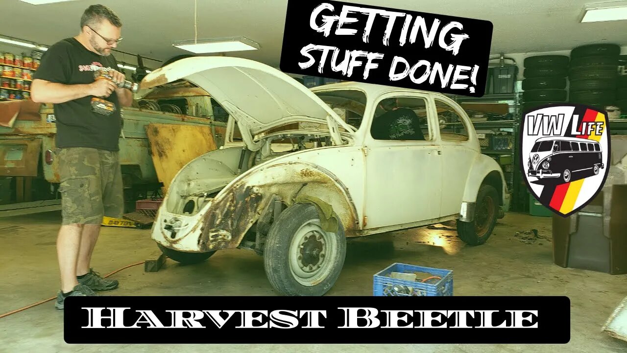 Let's Get Stuff Done on the Harvest Beetle!