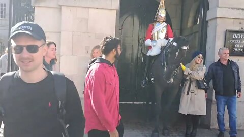 A stern hands off the reins #horseguardsparade