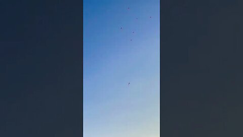 Firework shoots multiple parachutes at once. #firework