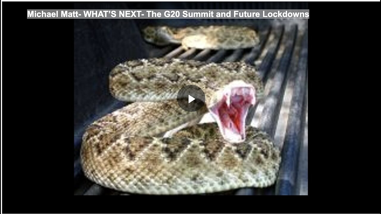 Michael Matt- WHAT’S NEXT- The G20 Summit and Future Lockdowns