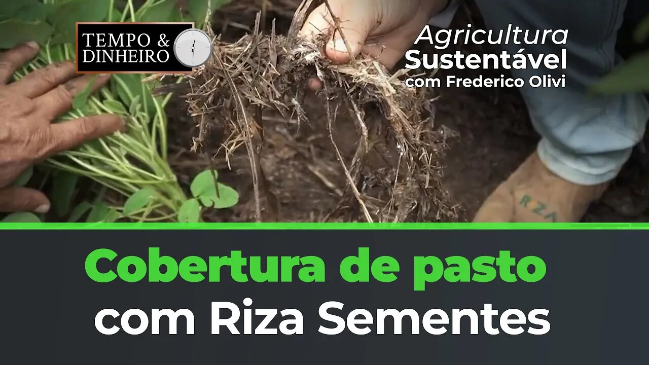 Cobertura de pasto com Riza Sementes