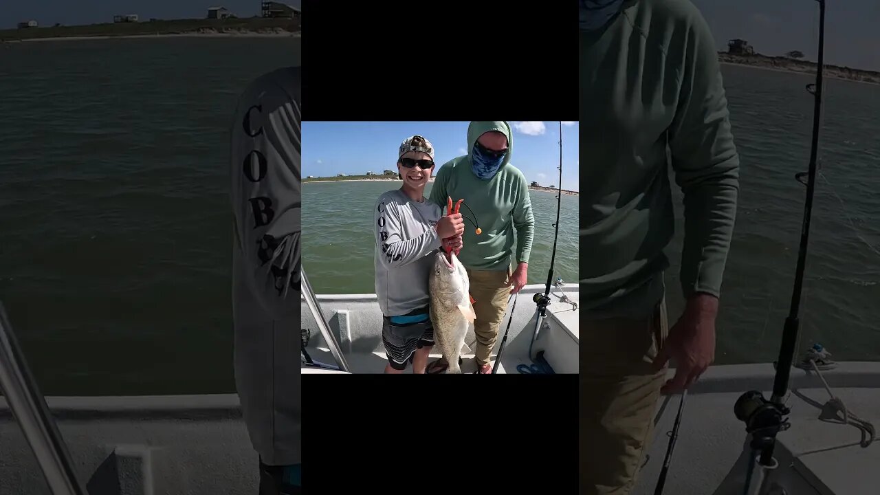 🎣🎏🦈 Msc Bull Reds in Port O'Connor, TX | Full Video Here: https://youtu.be/xx2Oigp6YHE